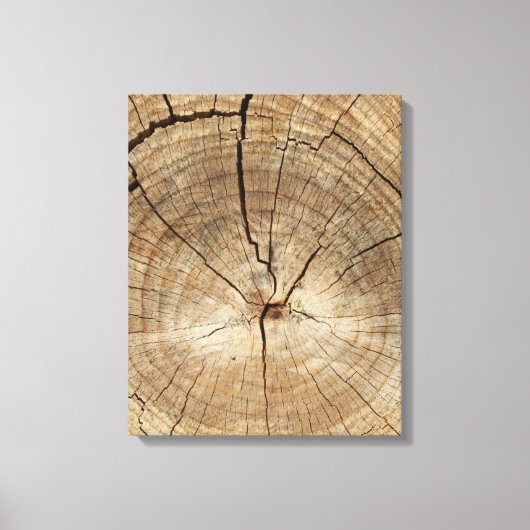 Toile Arrière - plan des anneaux de faux Tree (Recto)