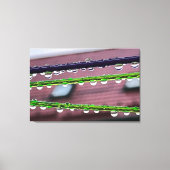 Toile Arrosage sur cordes (Recto)