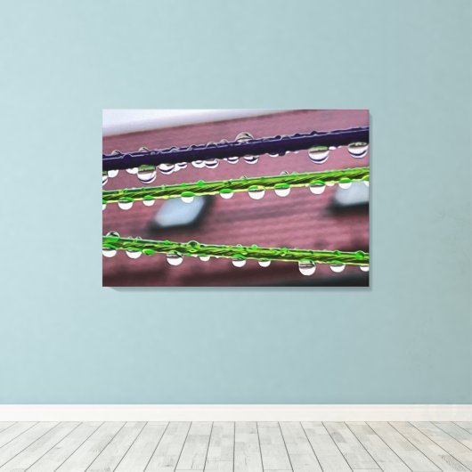 Toile Arrosage sur cordes (Insitu (Plancher de Bois))