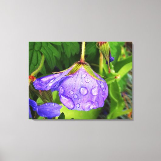 Toile Arrosage violet (Recto)