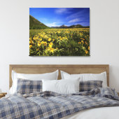 Toile Arrowleaf balsomroot couvre la prairie avec (Insitu(Chambre))
