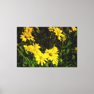 Toile Arrowleaf Fleur sauvage Jaune Arrowley Abstrait