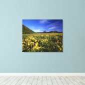 Toile Arrowleaf recouvre le praire avec (Insitu (Plancher de Bois))