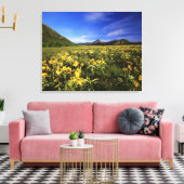 Toile Arrowleaf recouvre le praire avec (Insitu(Salon))