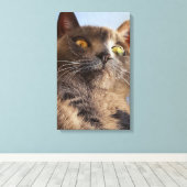 Toile Art animal (Insitu (Plancher de Bois))