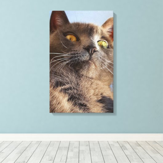 Toile Art animal (Insitu (Plancher de Bois))