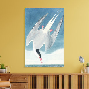 Toile Art côtier vintage d'oiseau de mer Sterne arctique