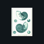 Toile Art de coquillage rouge et vert<br><div class="desc">L'artiste Denis Diderot est talentueux et connu pour ses grandes images de la vie marine. Dans cette image très vivante, il capture deux coquillages conques crackled rouge et vert dans leur style le plus naturel. Les conches sont souvent craquelés comme ces deux coquillages et dans un ton sépia. Obtenez votre...</div>