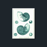 Toile Art de coquillage rouge et vert<br><div class="desc">L'artiste Denis Diderot est talentueux et connu pour ses grandes images de la vie marine. Dans cette image très vivante, il capture deux coquillages conques crackled rouge et vert dans leur style le plus naturel. Les conches sont souvent craquelés comme ces deux coquillages et dans un ton sépia. Obtenez votre...</div>