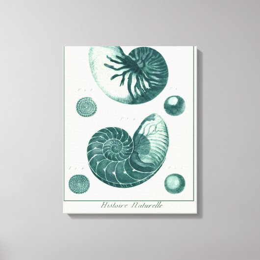 Toile Art de coquillage rouge et vert (Recto)