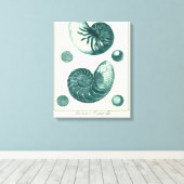 Toile Art de coquillage rouge et vert (Insitu (Plancher de Bois))