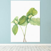 Toile art de Mary Vaux Walcott (Insitu (Plancher de Bois))