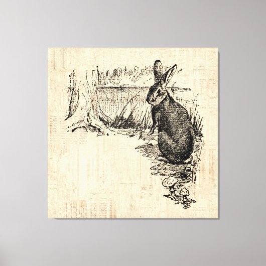 Toile Art lapin vintage illustré (Recto)