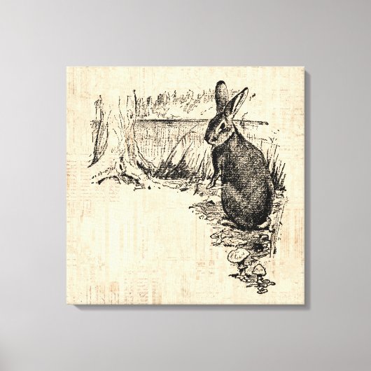 Toile Art lapin vintage illustré (Recto)