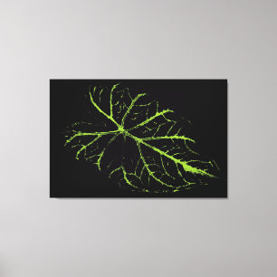 Toile Art Leaf automne