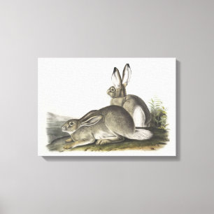 Toile Art numérique gris et blanc mâle et femelle lièvre