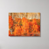 Toile Art Orange Aspen Automne Automne Canvas Art Imprim (Recto)