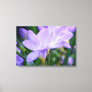 Toile Art photographique de fleur de Freesia pleureuse