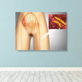 Toile Artère étroite près de la jambe Gros plan (Insitu (Plancher de Bois))