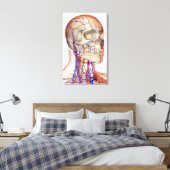 Toile Artères et veines dans la tête et le cou (Insitu(Chambre))