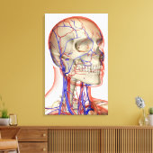 Toile Artères et veines dans la tête et le cou (Insitu(Salon))