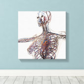 Toile Artères, Veines Et Système Lymphatique 1 (Insitu (Plancher de Bois))