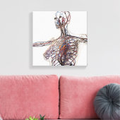 Toile Artères, Veines Et Système Lymphatique 1 (Insitu(Salon))