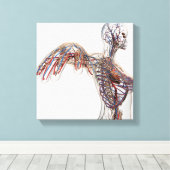 Toile Artères, Veines Et Système Lymphatique 2 (Insitu (Plancher de Bois))