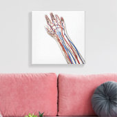 Toile Artères, Veines Et Système Lymphatique 3 (Insitu(Salon))