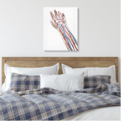 Toile Artères, Veines Et Système Lymphatique 3 (Insitu(Chambre))