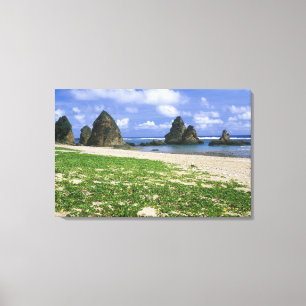 Toile Asie, Japon, Okinawa, littoral de Yambaru, mer