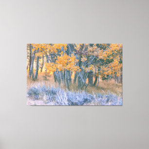 Toile Aspen automne
