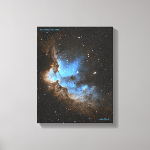 Toile Assistant Nebula (NGC 7380)