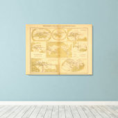 Toile Atlas (Insitu (Plancher de Bois))