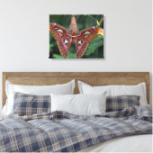 Toile Atlas Moth (Insitu(Chambre))