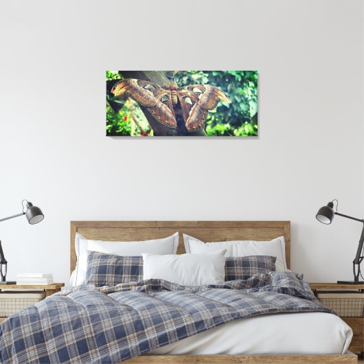 Toile Atlas Moth (Insitu(Chambre))