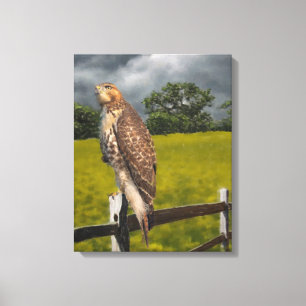 Toile Attente de la tempête - Red tail Hawk