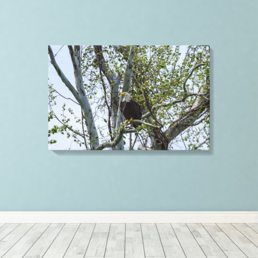 Toile Attention aux aigles (Insitu (Plancher de Bois))