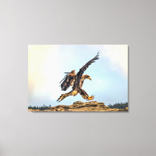 Toile Atterrissage d'aigle à tête blanche juvénile