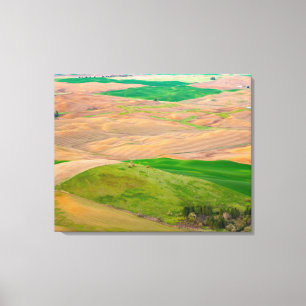 Toile Au-dessus de la Palouse peinte de la Butte Steptoe