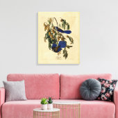 Toile Audobon - Florida Jay (Insitu(Salon))