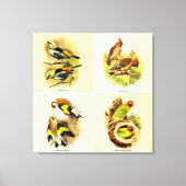 Toile Audubon Bird Gallery Wall Art Set 4 (Recto)