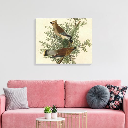 Toile Audubon Cèdre cire oiseau (Insitu(Salon))