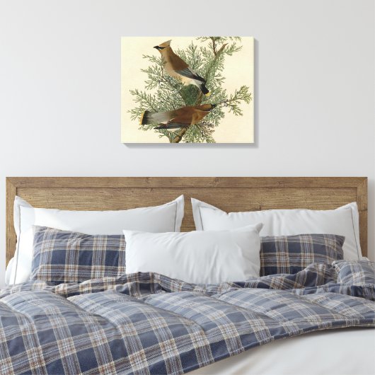 Toile Audubon Cèdre cire oiseau (Insitu(Chambre))