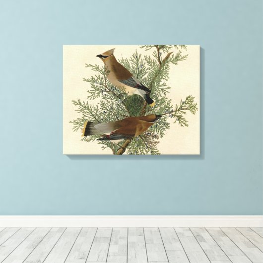 Toile Audubon Cèdre cire oiseau (Insitu (Plancher de Bois))