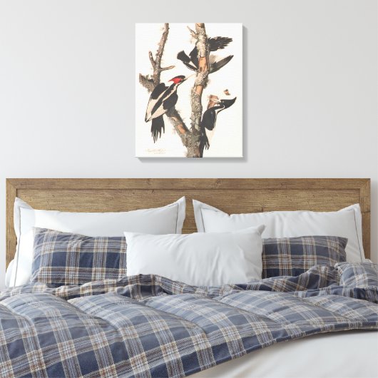 Toile Audubon Ivory-Billed (Insitu(Chambre))