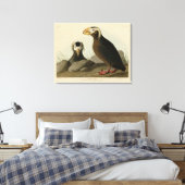 Toile Audubon (Puffin) - Audubon's Birds of America (Insitu(Chambre))
