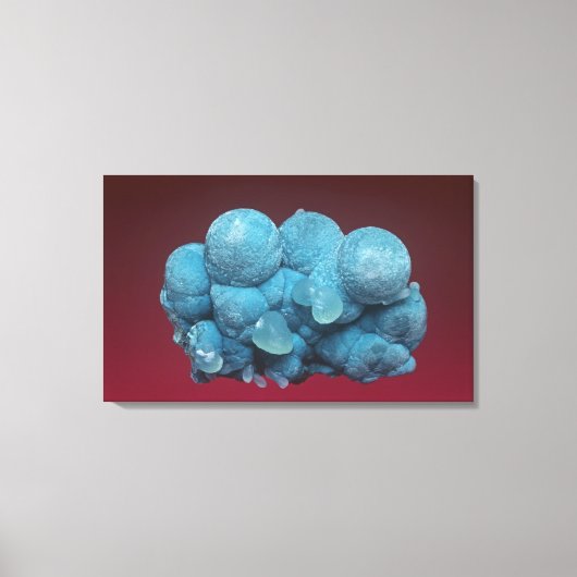 Toile Aurichalcite avec Smithsonite, comté de Soccorro, (Recto)