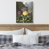 Toile Auriculas du Dr John Robert Thornton (Insitu(Chambre))