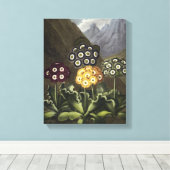 Toile Auriculas du Dr John Robert Thornton (Insitu (Plancher de Bois))